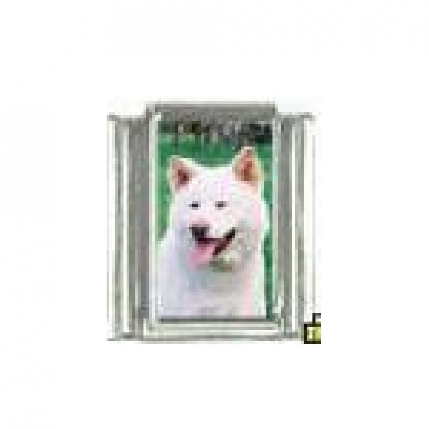 Dog charm - Akita 3 - 9mm Italian charm - Click Image to Close