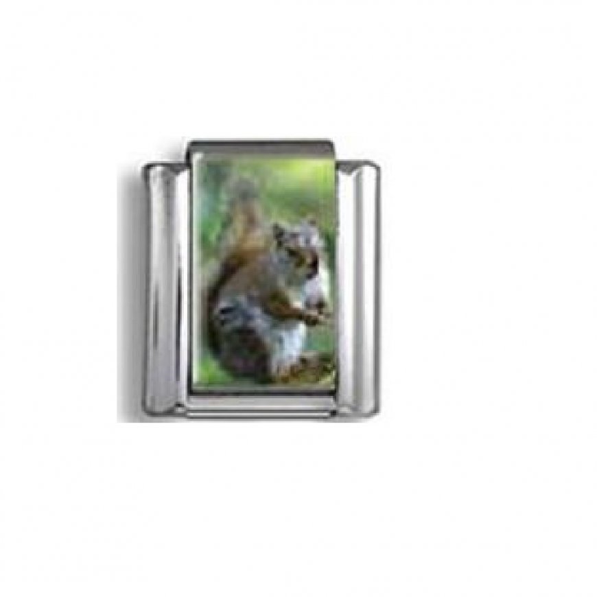 Squirrel - photo 9mm Italian charm - Click Image to Close