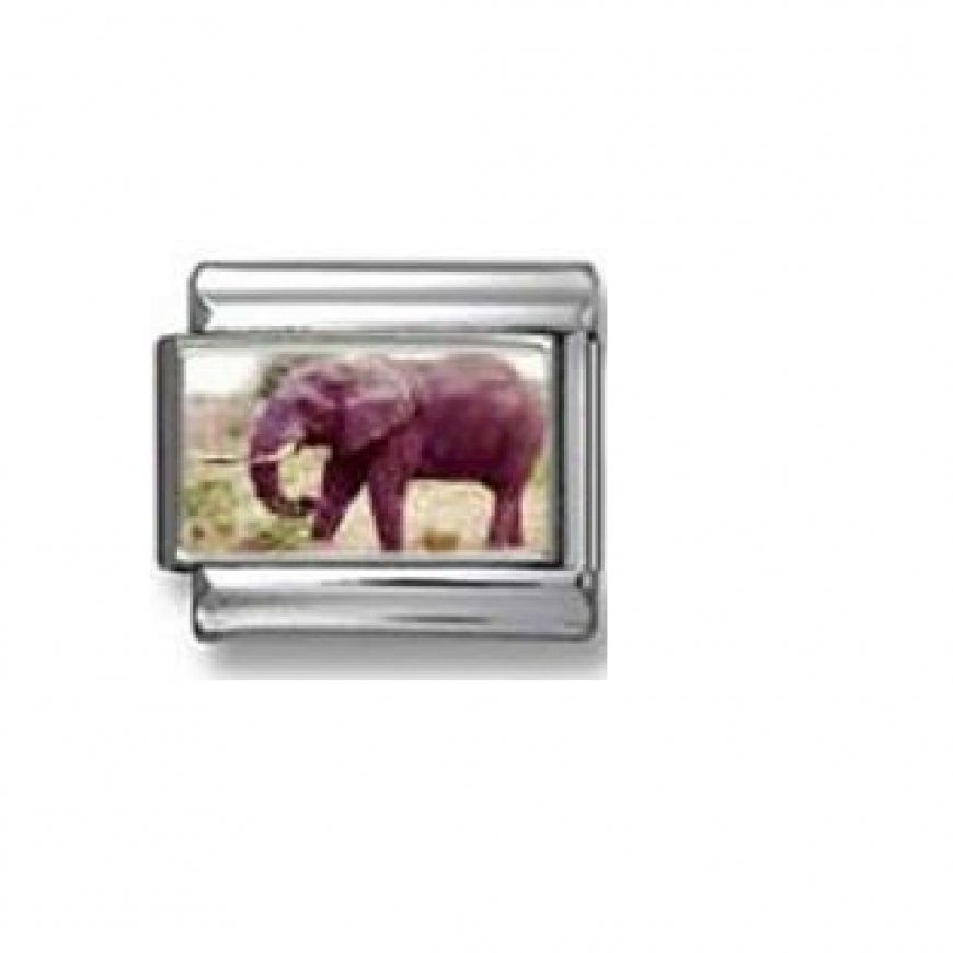 Elephant photo charm (a) 9mm Italian charm - Click Image to Close