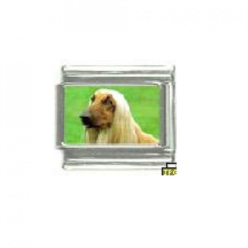 Dog charm - Afghan Hound 5 - 9mm Italian charm - Click Image to Close