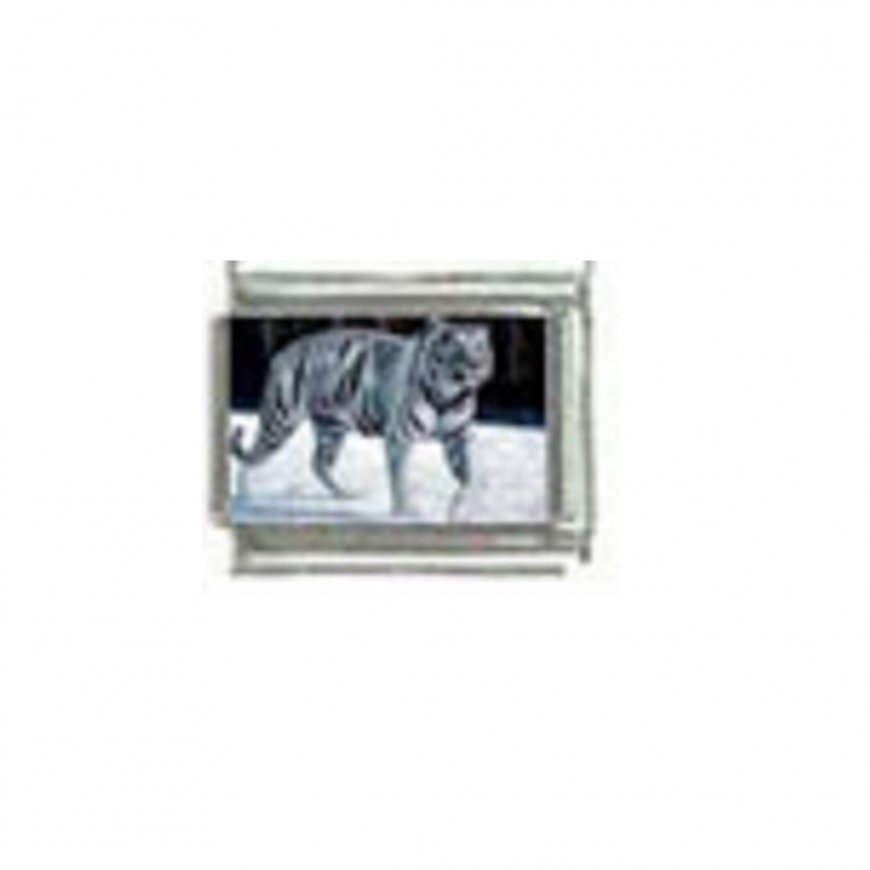 White tiger (n) photo - 9mm Italian charm - Click Image to Close