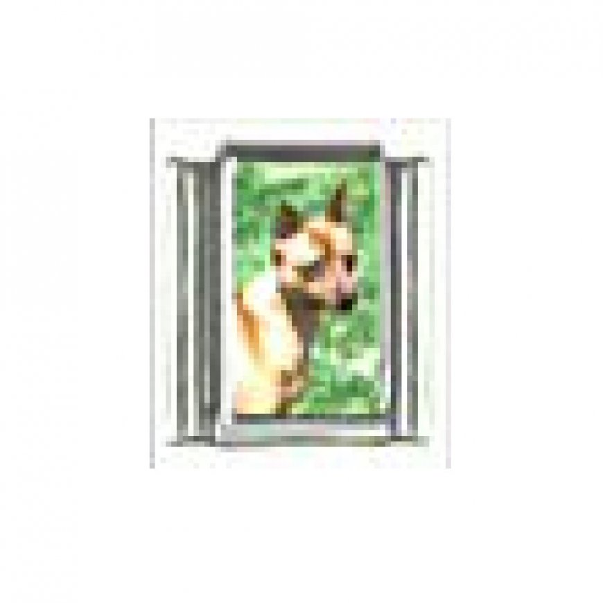 Dog charm - Miniature Pinscher 2 - 9mm Italian charm - Click Image to Close