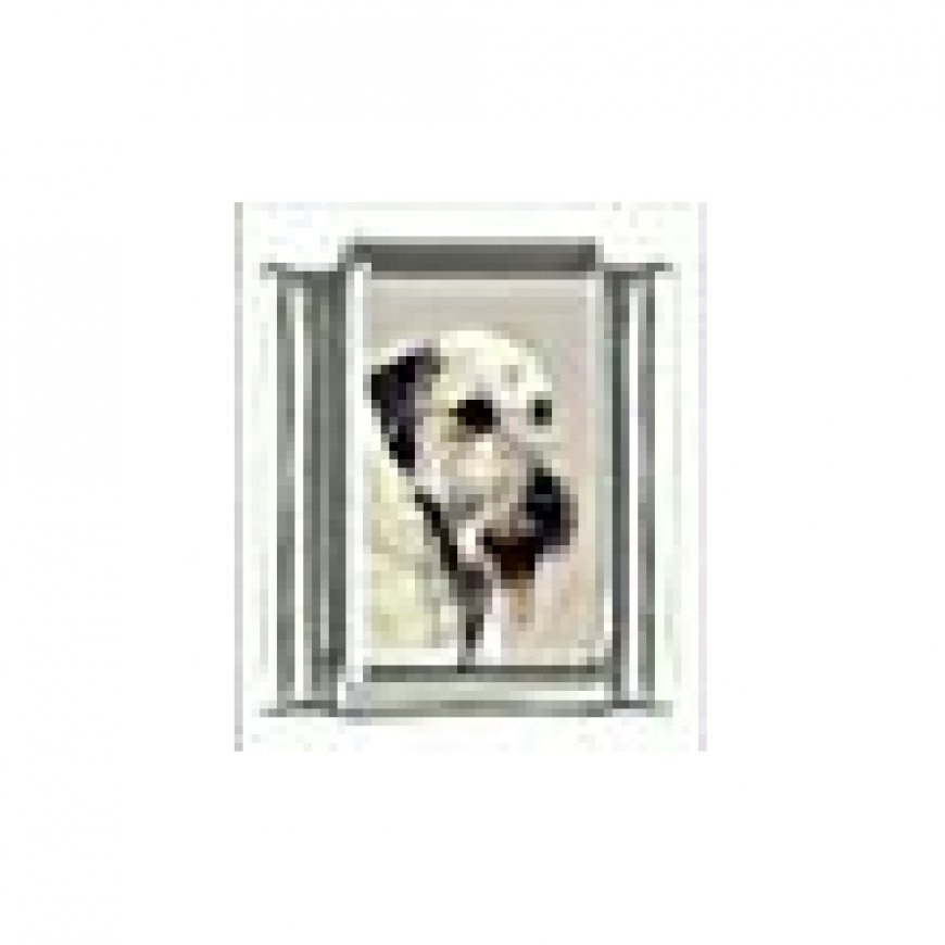Dog charm - Irish Wolfhound 3 - 9mm Italian charm - Click Image to Close