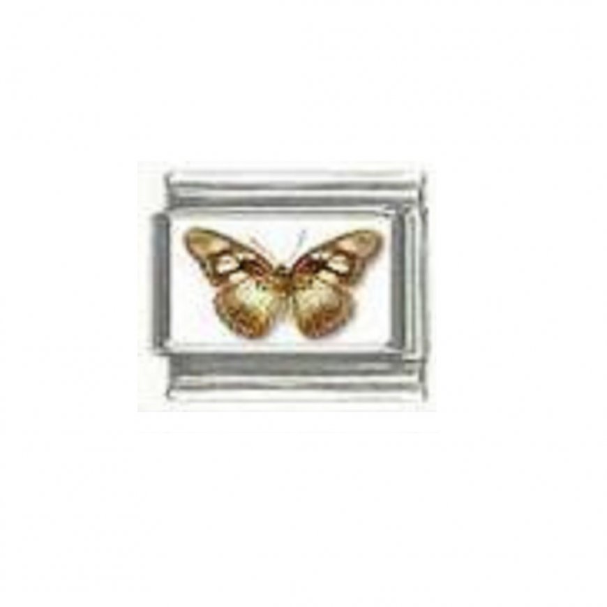Butterfly photo a100 - 9mm Italian charm - Click Image to Close