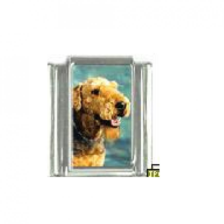 Dog charm - Airedale Terrier 4 - 9mm Italian charm - Click Image to Close