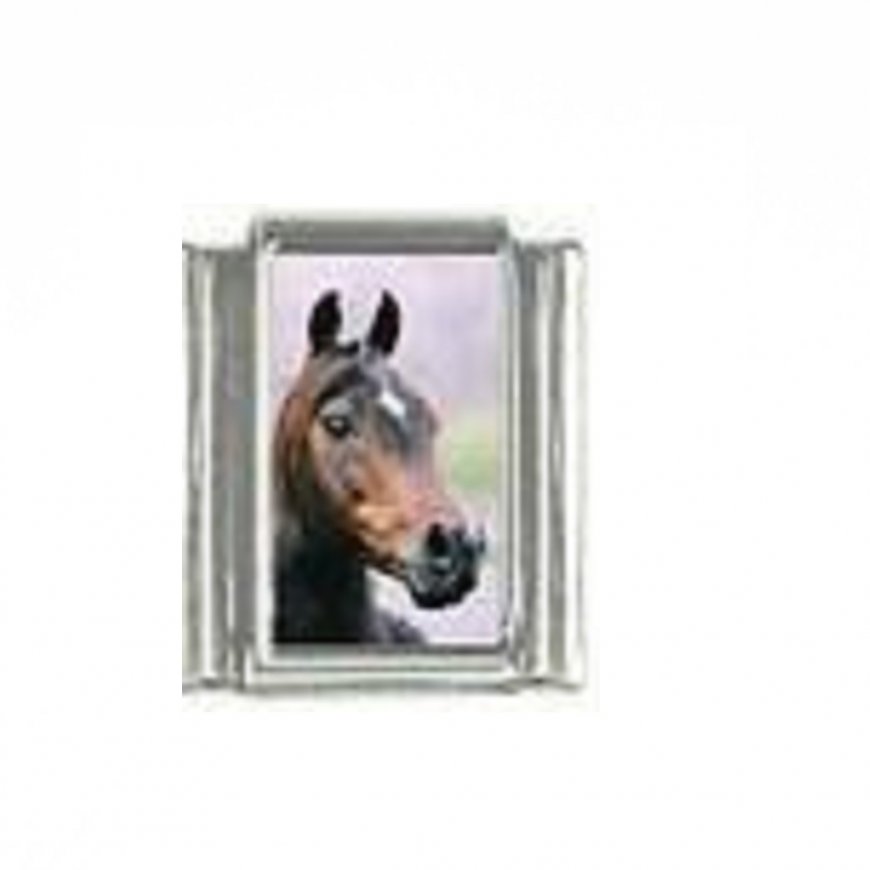 Horse (v) - photo 9mm Italian charm - Click Image to Close