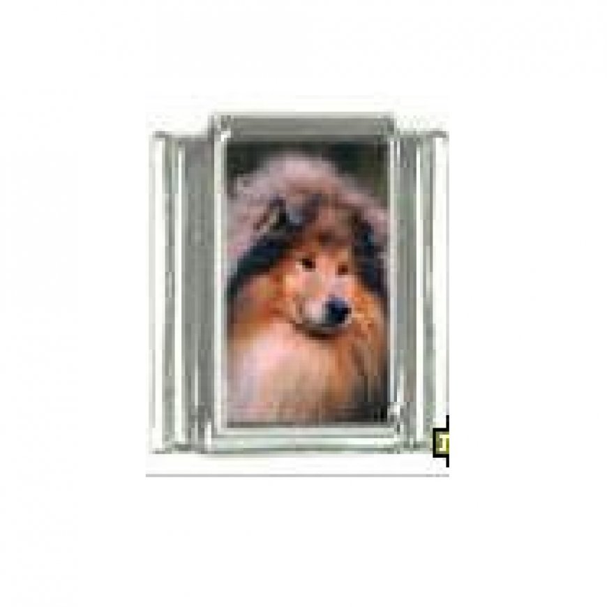 Dog charm - Collie 5 - 9mm Italian charm - Click Image to Close