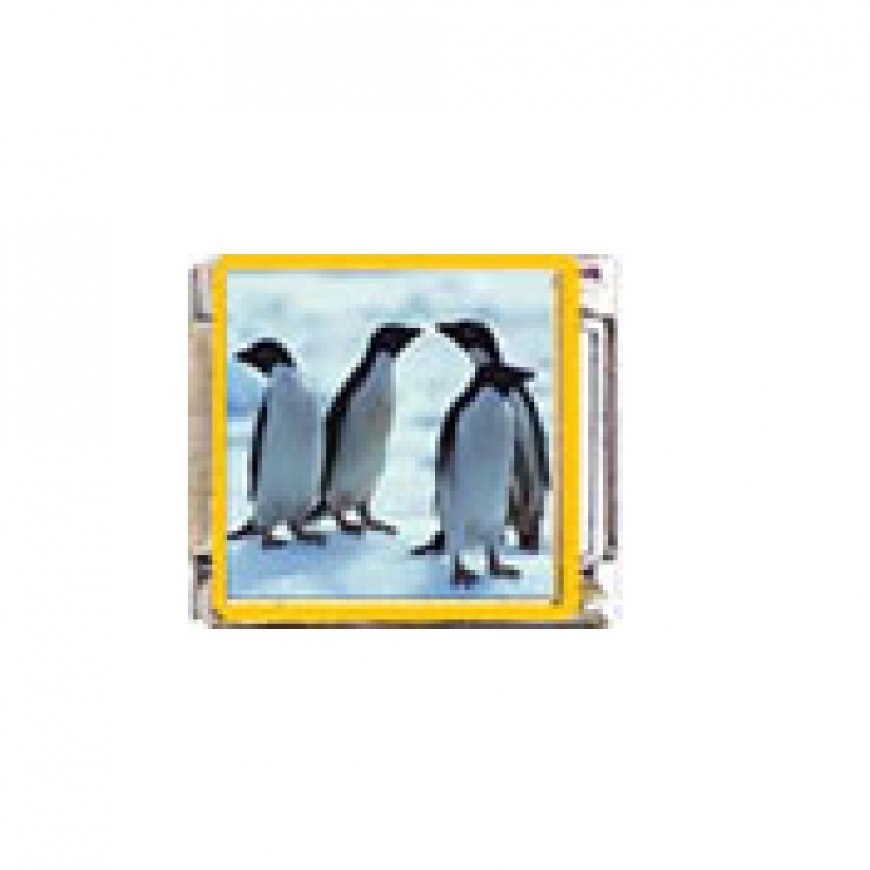 Penguin (m) - enamel 9mm Italian charm - Click Image to Close