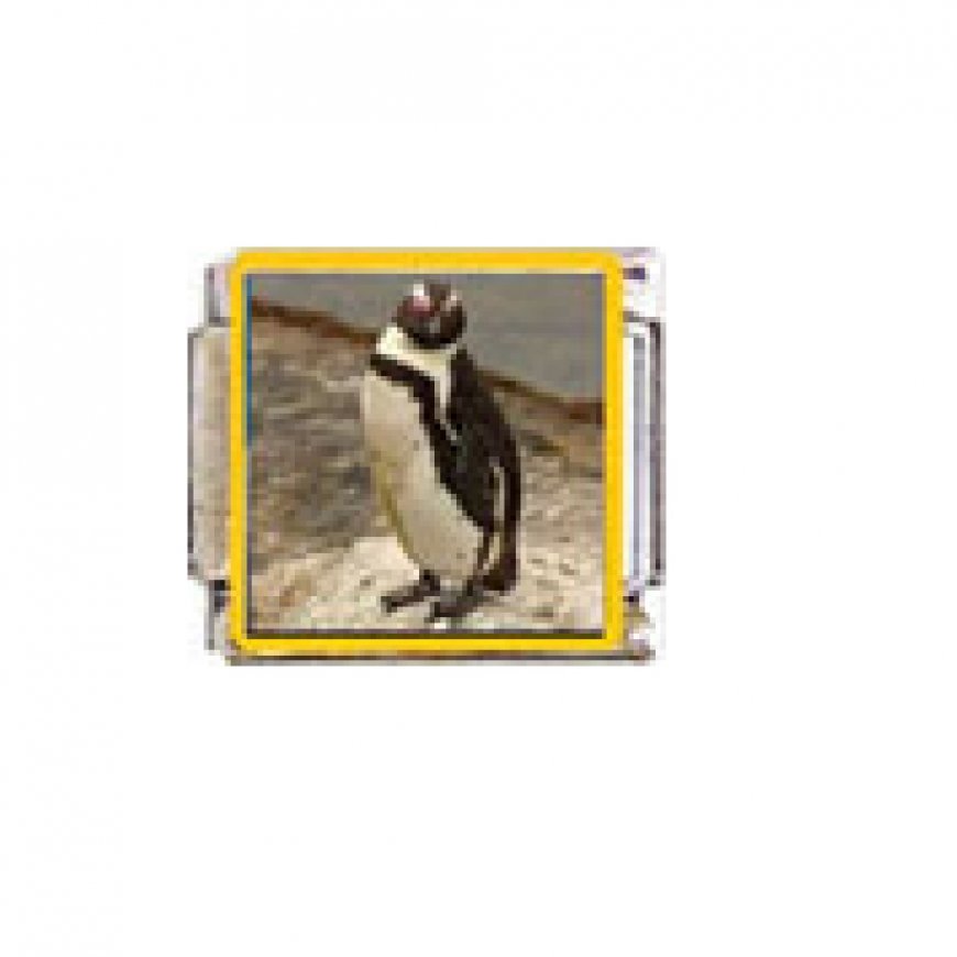 Penguin (n) - enamel 9mm Italian charm - Click Image to Close