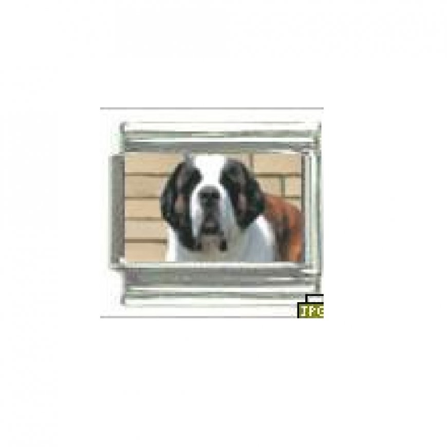 Dog charm - St Bernard 2 - 9mm Italian charm - Click Image to Close