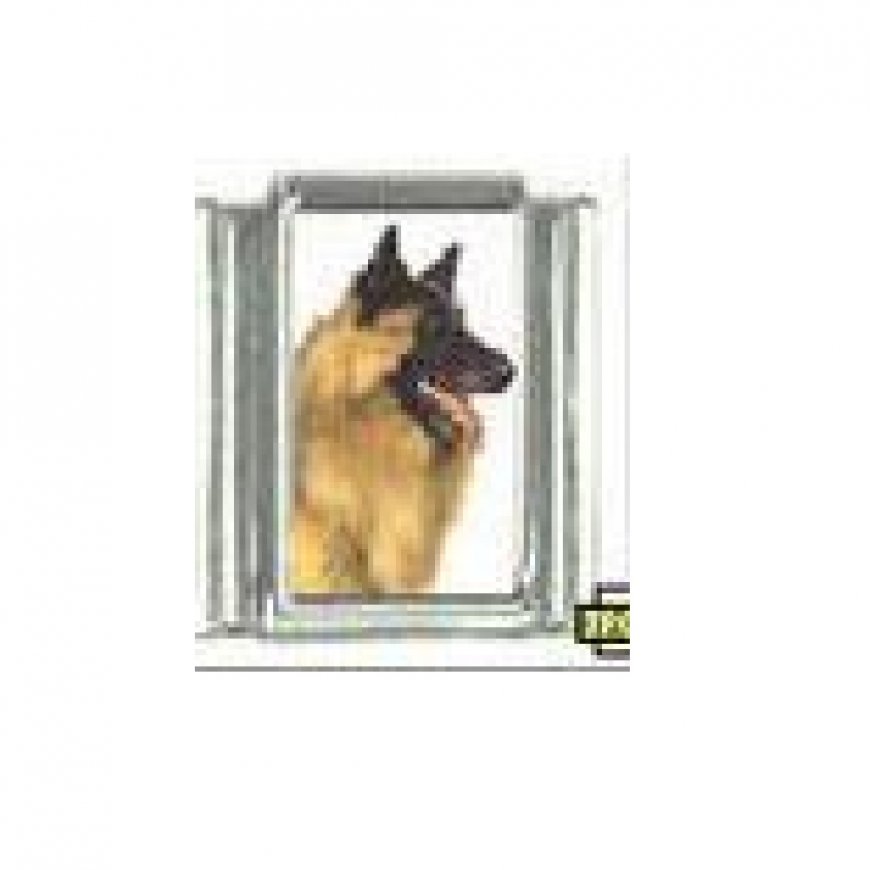 Dog charm - Belgian Sheepdog 2 - 9mm Italian charm - Click Image to Close