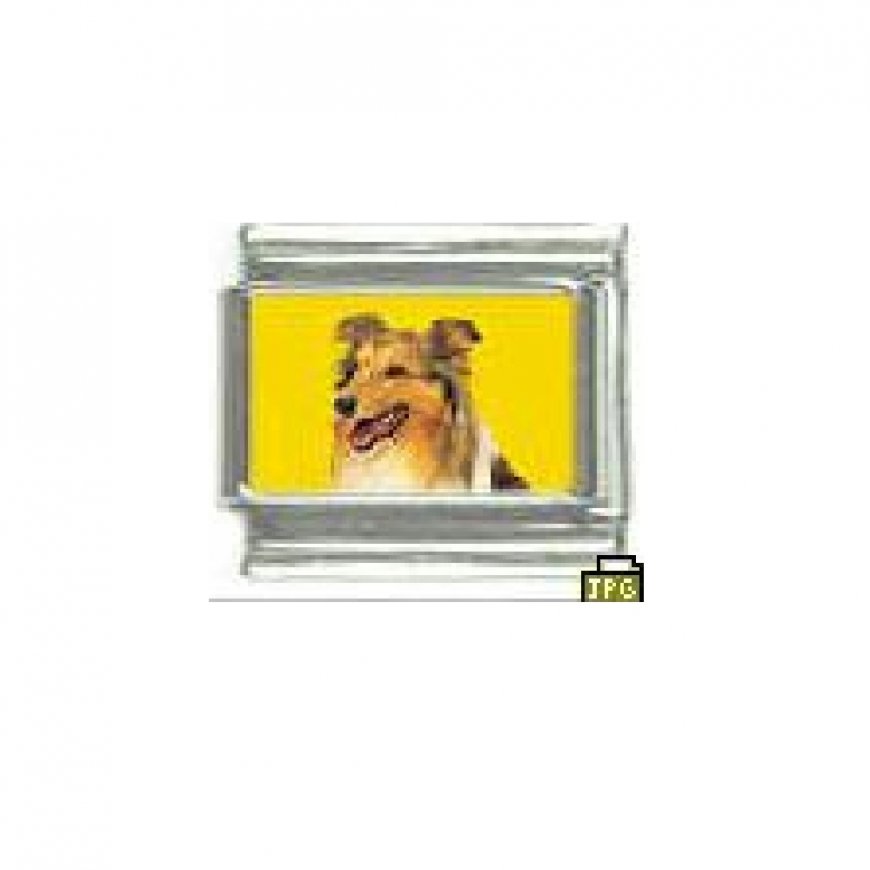 Dog charm - Sheltie sheepdog 2 - 9mm Italian charm - Click Image to Close