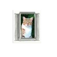 Cat - Ginger tabby cat (f) enamel 9mm Italian charm