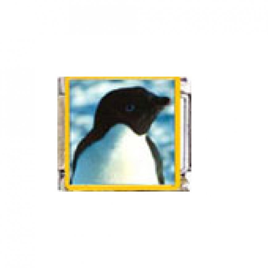 Penguin (v) - enamel 9mm Italian charm - Click Image to Close