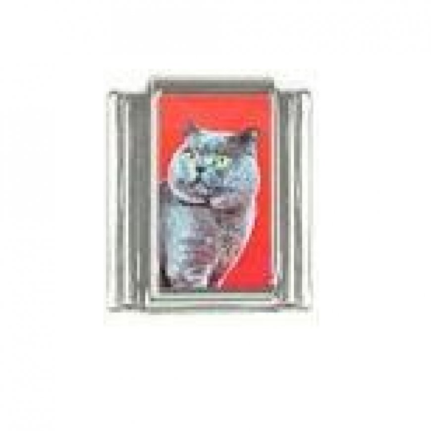 Cat - Grey cat (d) photo 9mm Italian charm - Click Image to Close