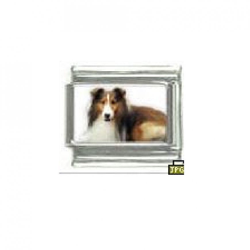 Dog charm - Sheltie sheepdog 1 - 9mm Italian charm - Click Image to Close