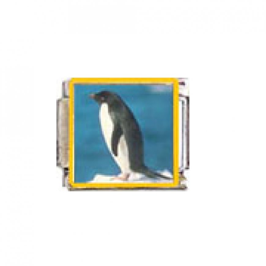 Penguin (f) - enamel 9mm Italian charm - Click Image to Close