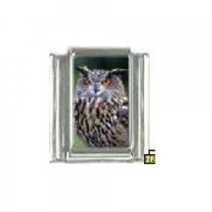 Tawny Owl - photo 9mm Italian Charm