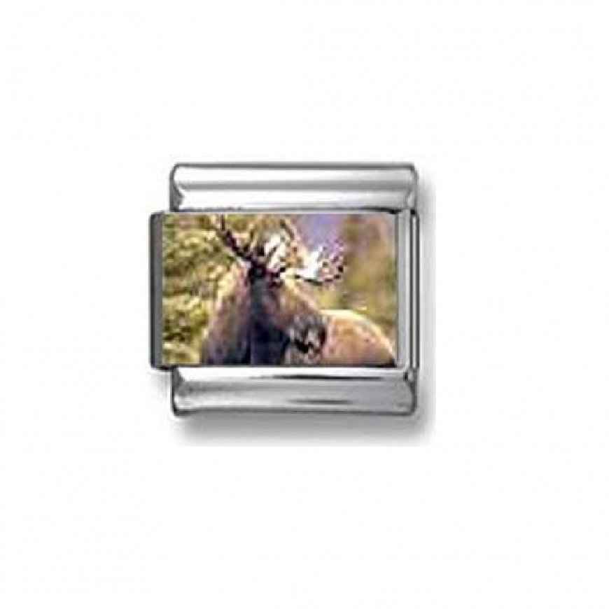 Moose - photo 9mm Italian charm - Click Image to Close