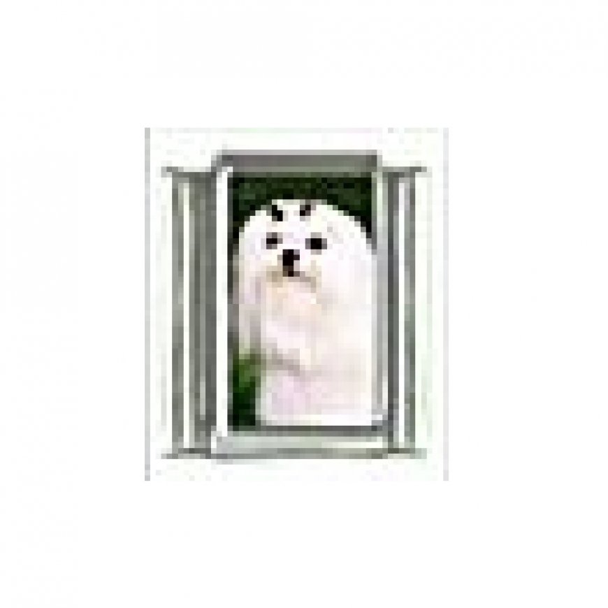 Dog charm - Maltese Dog 4 - 9mm Italian charm - Click Image to Close