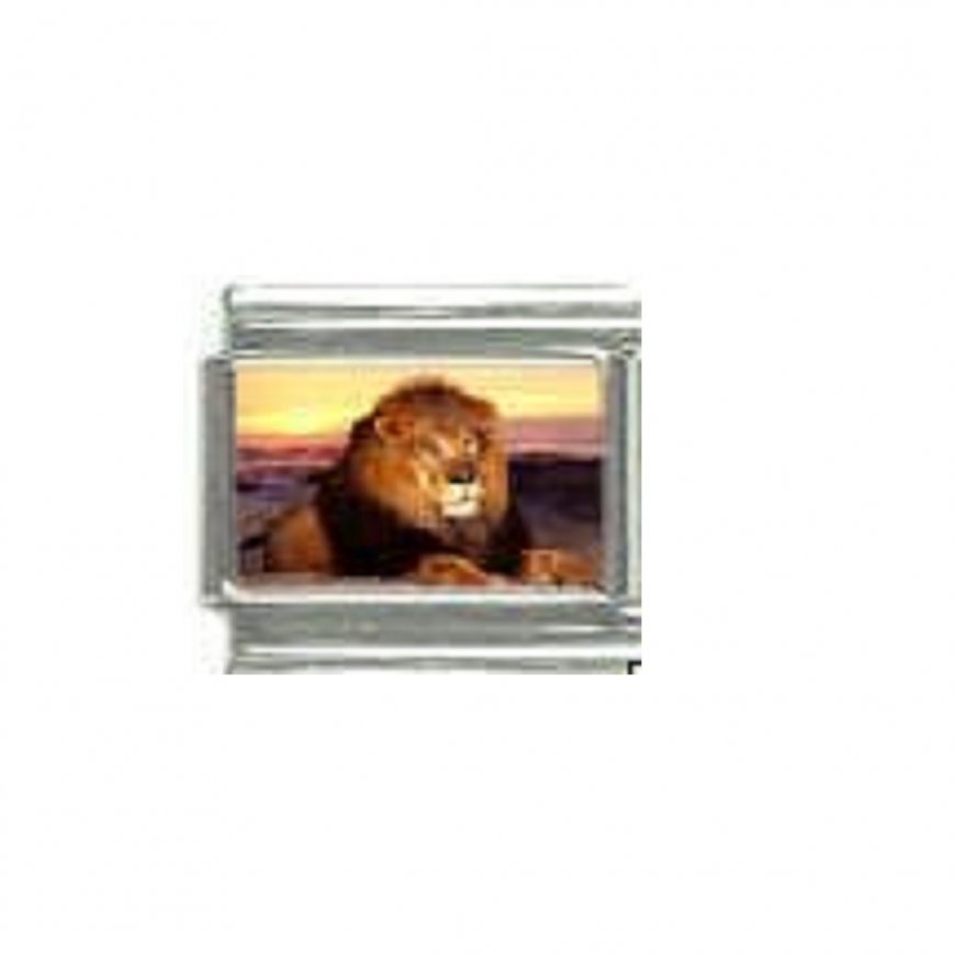 Lion (b) - photo 9mm Italian charm - Click Image to Close