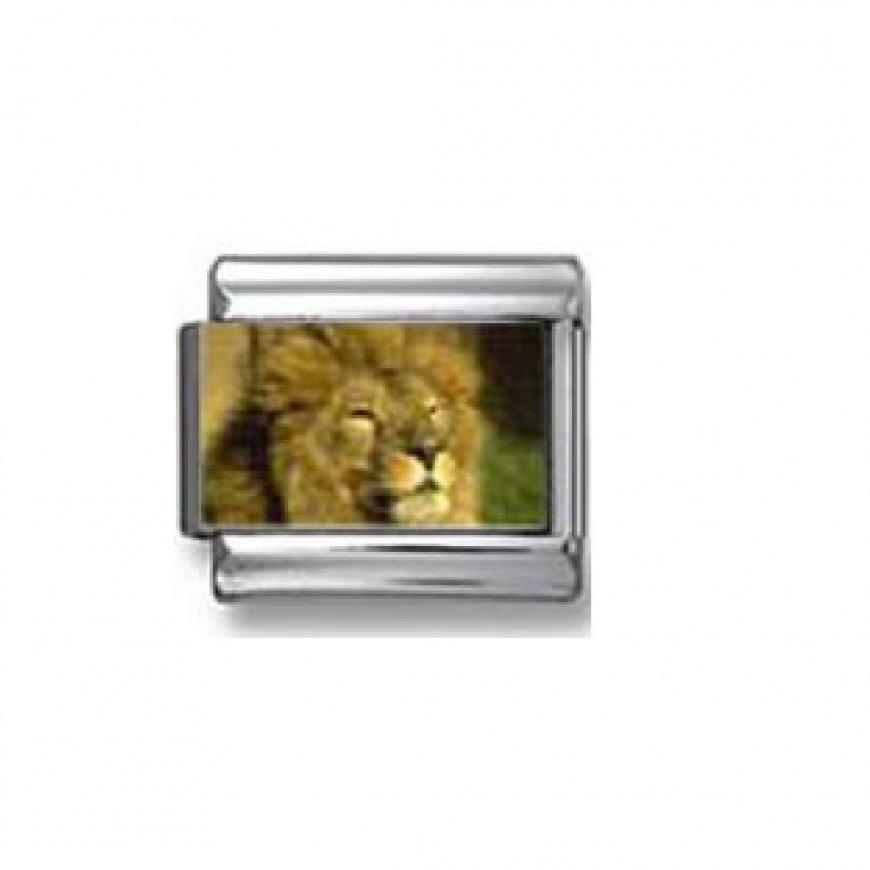 Lion (a) - photo 9mm Italian charm - Click Image to Close