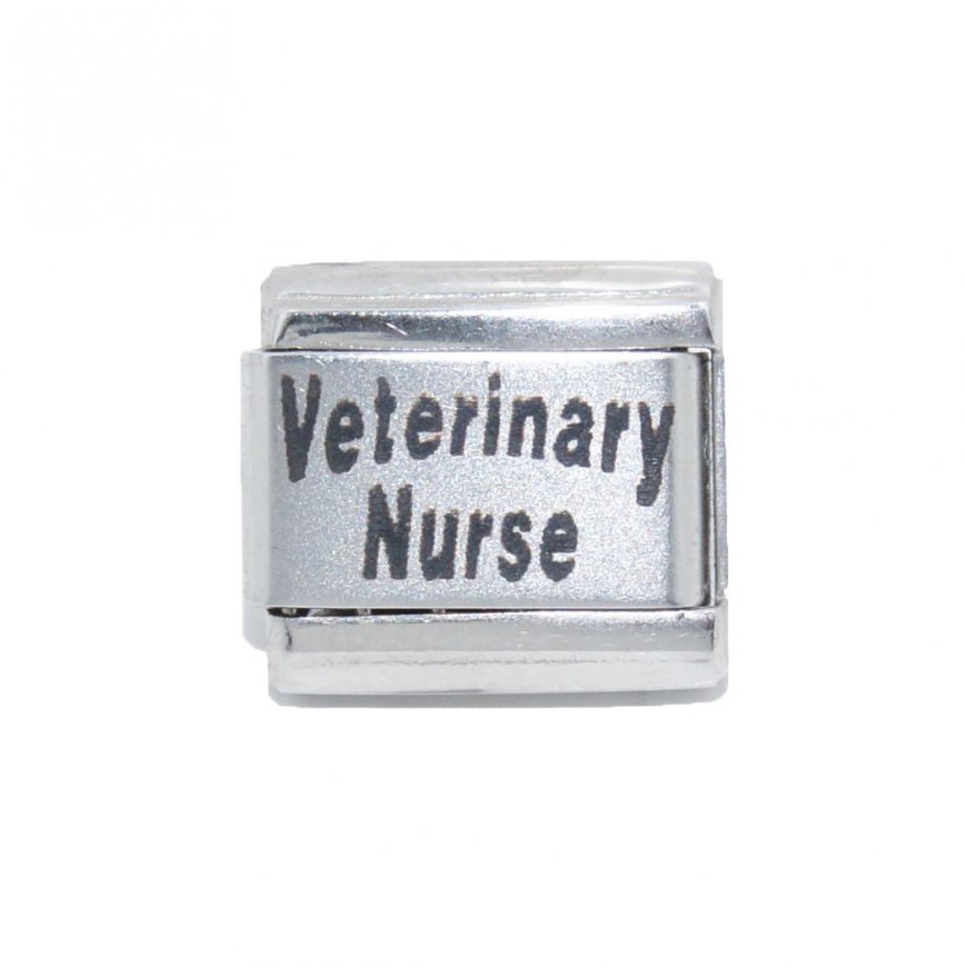 Veterinary Nurse - Laser 9mm Italian Charm - Click Image to Close