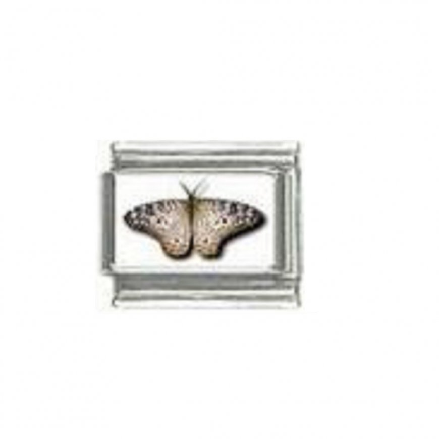 Butterfly photo a120 - 9mm Italian charm - Click Image to Close