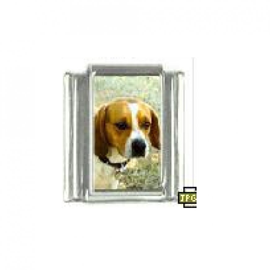 Dog charm - Beagle 2 - 9mm Italian charm - Click Image to Close