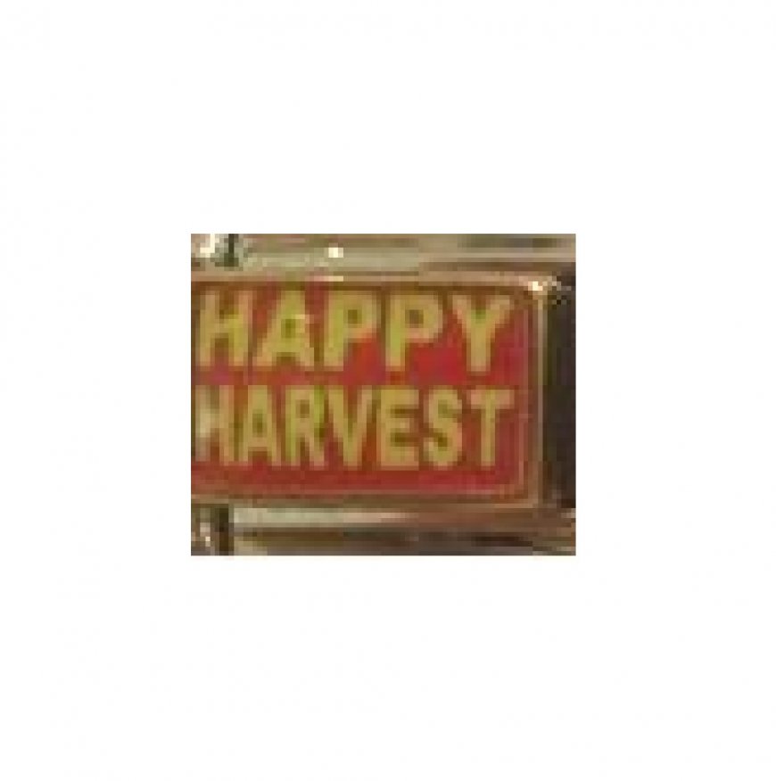 Happy Harvest - Photo 9mm Italian charm - Click Image to Close