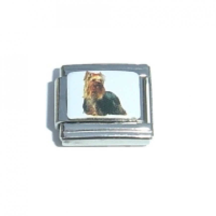 Yorkshire Terrier dog - picture enamel 9mm Italian charm - Click Image to Close