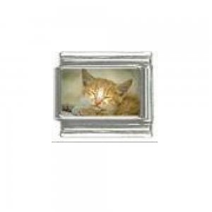 Cat - Ginger tabby cat (e) enamel 9mm Italian charm