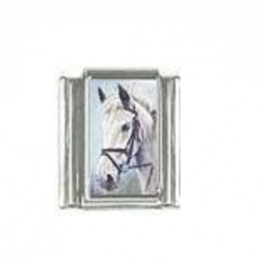 Horse (aq) - photo 9mm Italian charm - Click Image to Close
