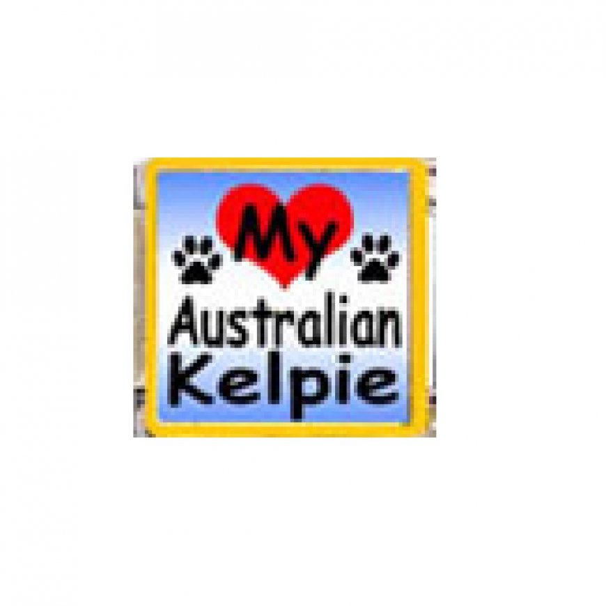 Love my Australian Kelpie - dog - enamel 9mm Italian charm - Click Image to Close