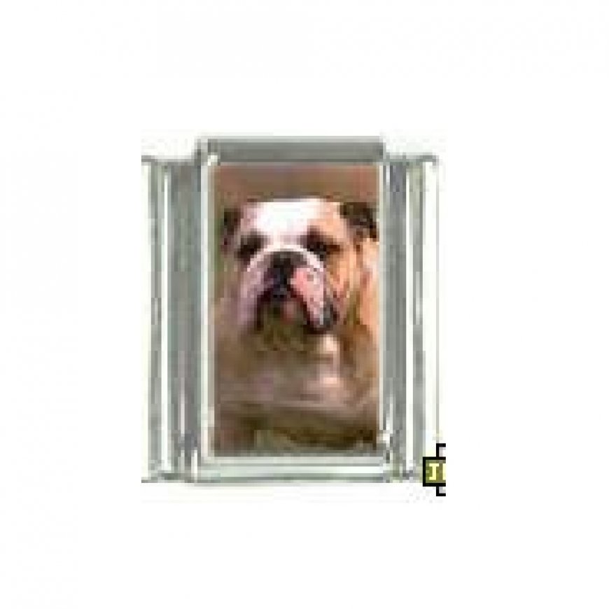 Dog charm - British Bulldog 4 - 9mm Italian charm - Click Image to Close