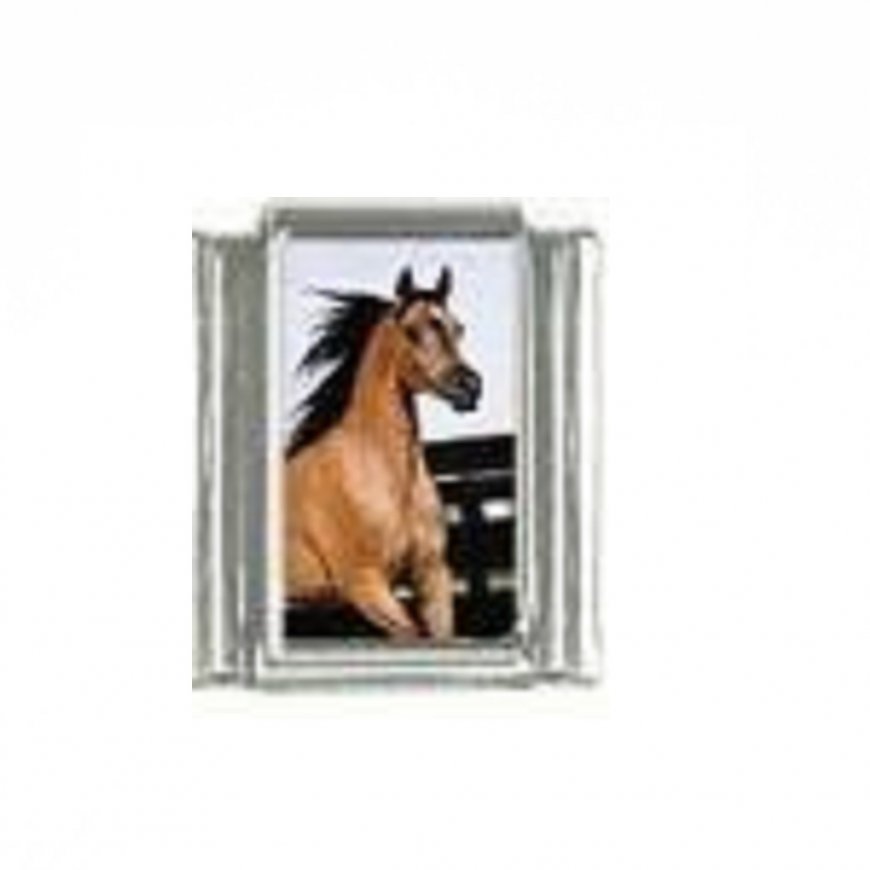 Horse (h) - photo 9mm Italian charm - Click Image to Close