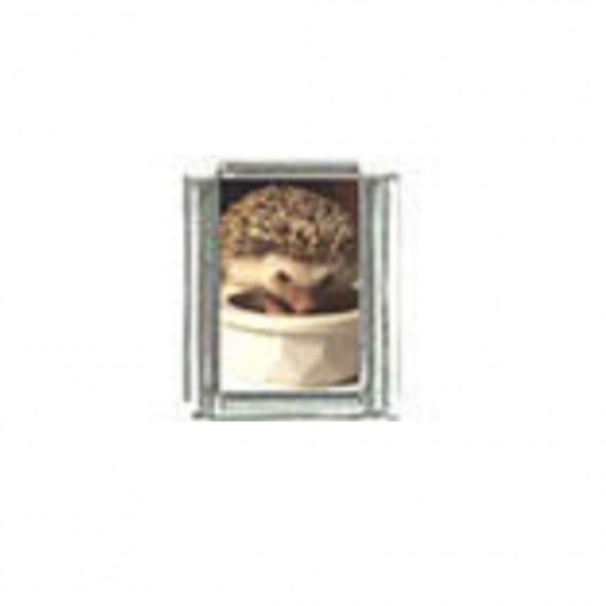Hedgehog (c) photo - 9mm Italian charm - Click Image to Close