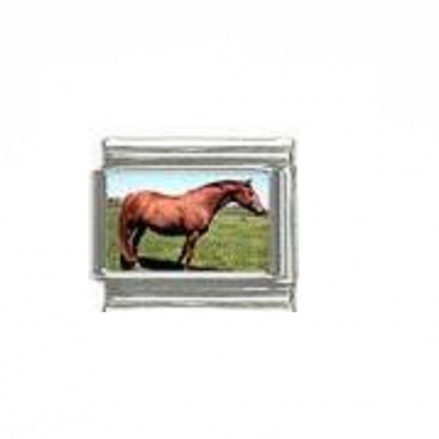 Horse (p) - photo 9mm Italian charm - Click Image to Close