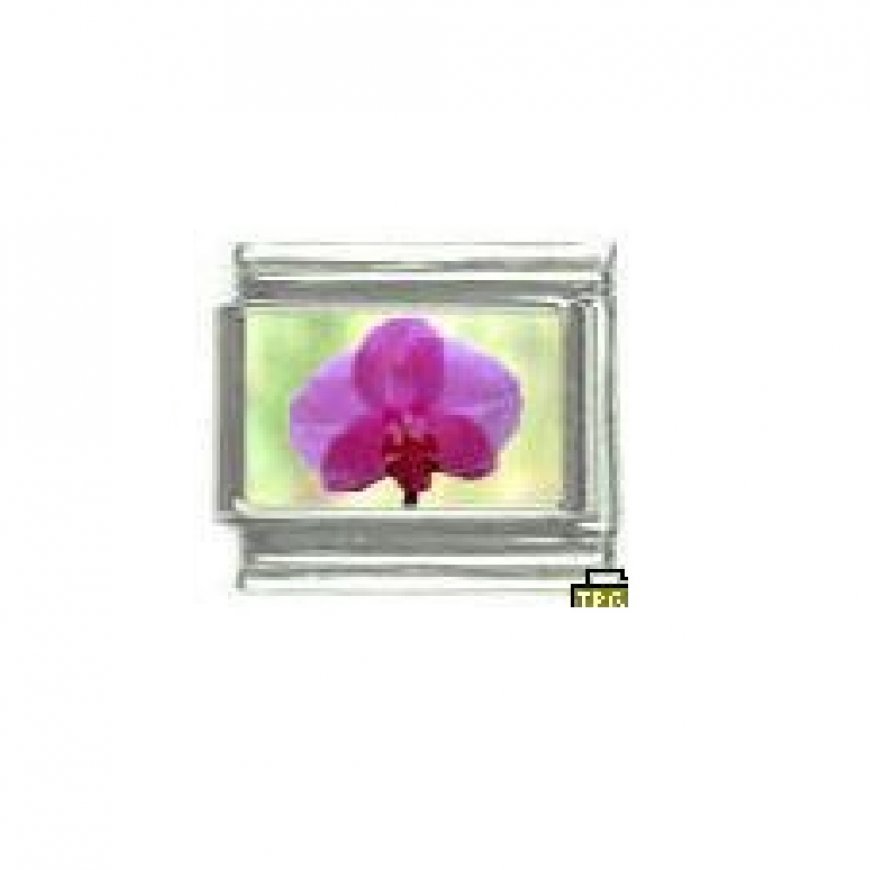 Orchid (b) - Flower photo - 9mm Italian charm - Click Image to Close