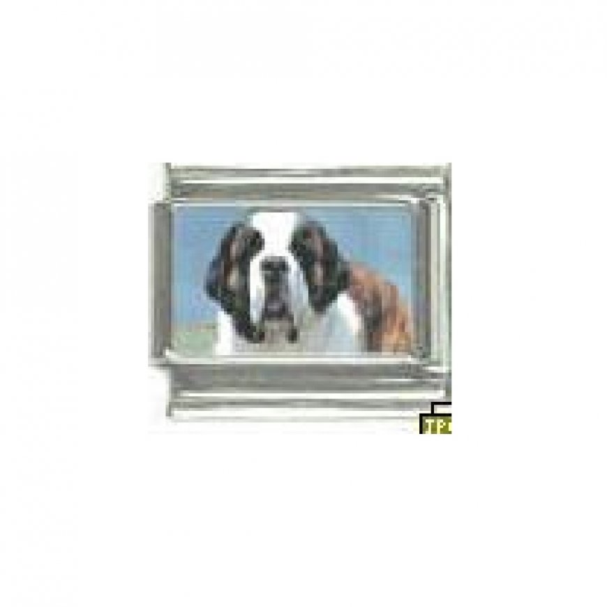 Dog charm - St Bernard 3 - 9mm Italian charm - Click Image to Close