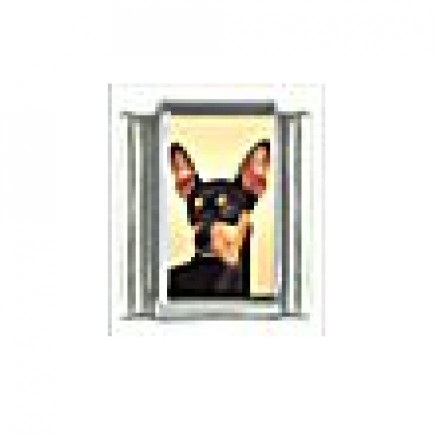 Dog charm - Miniature Pinscher 4 - 9mm Italian charm - Click Image to Close