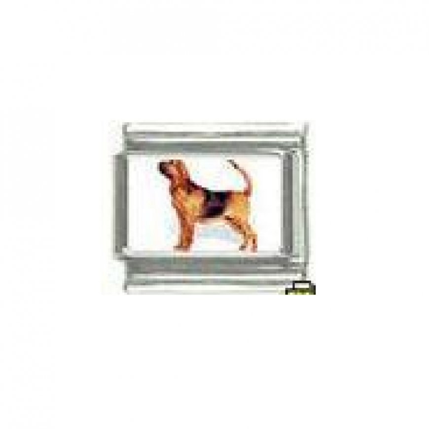 Dog charm - Bloodhound 2 - 9mm Italian charm - Click Image to Close