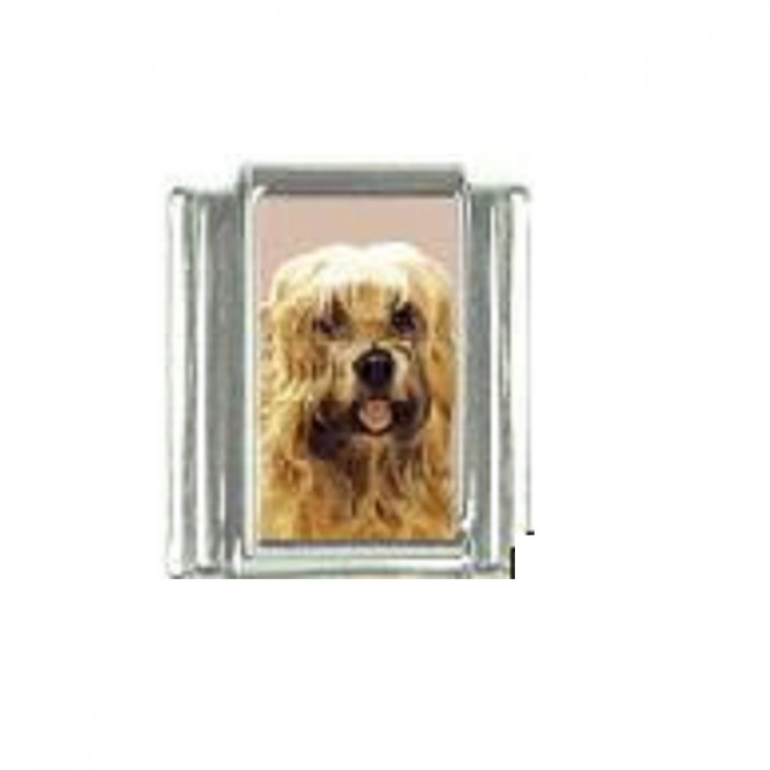 Dog charm - Wheaton Terrier 2 - 9mm Italian Charm - Click Image to Close