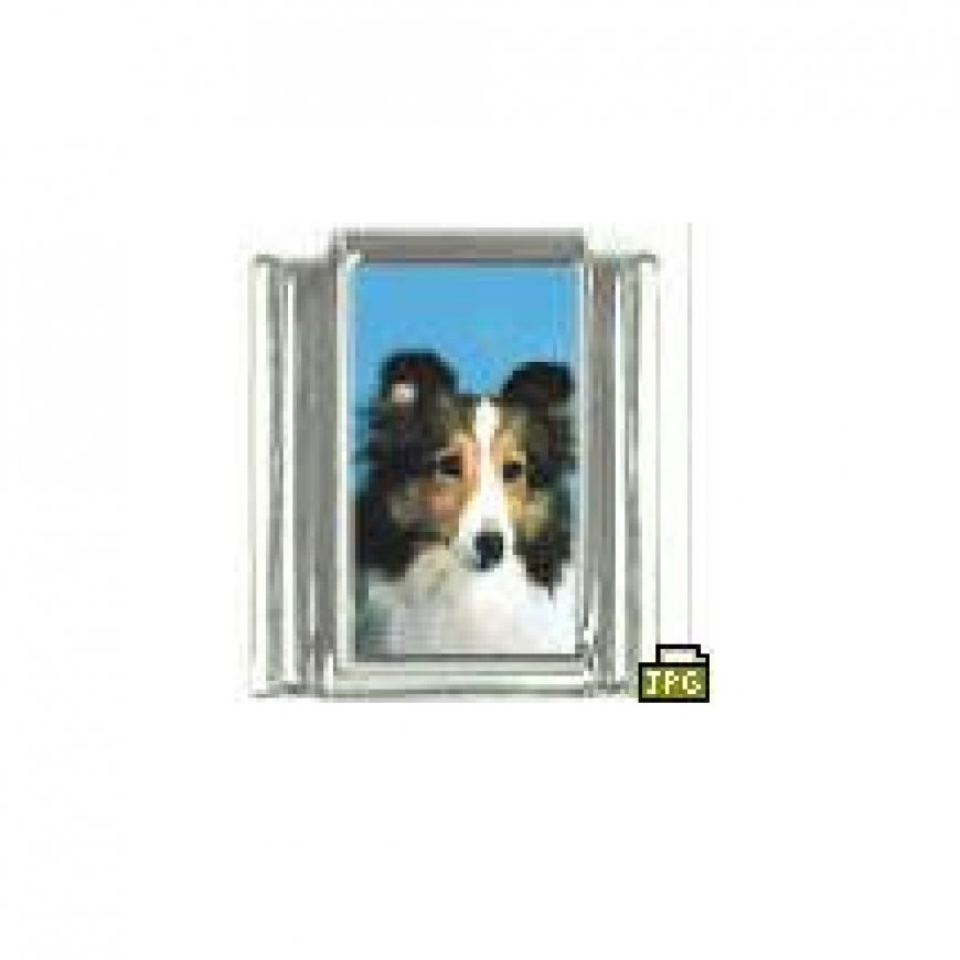 Dog charm - Sheltie sheepdog 5 - 9mm Italian charm - Click Image to Close