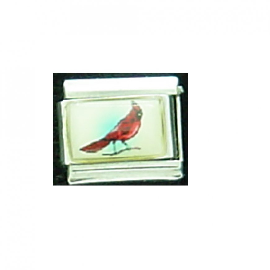 Cardinal bird (b) - photo 9mm Italian charm - Click Image to Close