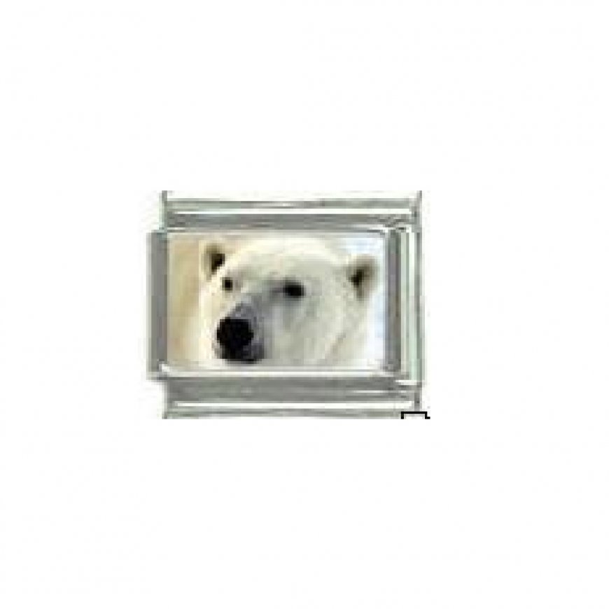 Polar bear (b) - photo 9mm Italian charm - Click Image to Close