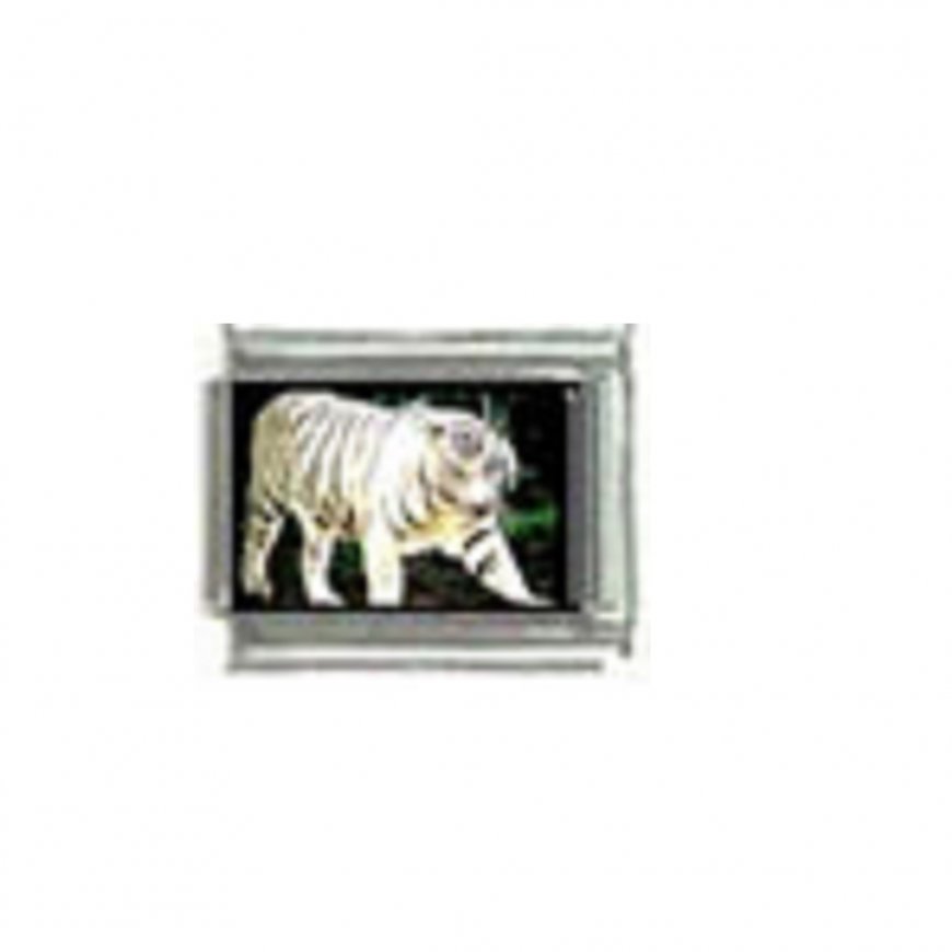 White tiger (m) photo - 9mm Italian charm - Click Image to Close