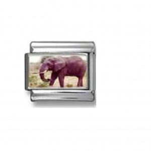Elephant photo charm (a) 9mm Italian charm