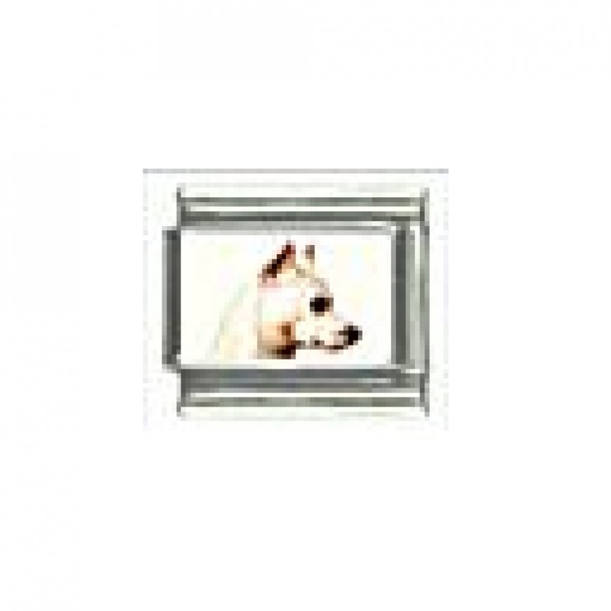 Dog charm - Miniature Pinscher 1 - 9mm Italian charm - Click Image to Close