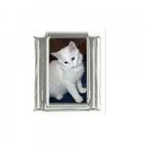 Cat - tabby cat (b) enamel 9mm Italian charm